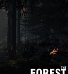ملف تختيم لعبة THE FOREST: SAVEGAME (ACHIEVEMENT GOOD FATHER)